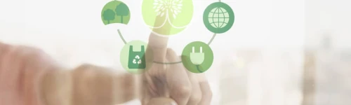 Sustenabilitatea afacerii - ce inseamna si ce masuri poti lua pentru a-ti duce firma intr-o directie sustenabila