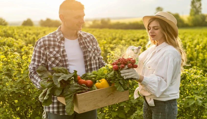 Afaceri agricole profitabile - culturi si idei pentru suprafete mici