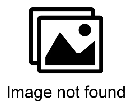 3. Masuri si modalitati de recuperare si executare a creantelor unei companii