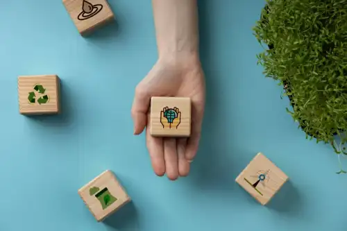 2. Idei de afaceri sustenabile din diferite domenii de activitate