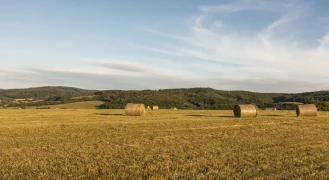 Credit achizitie teren agricol - Portofin